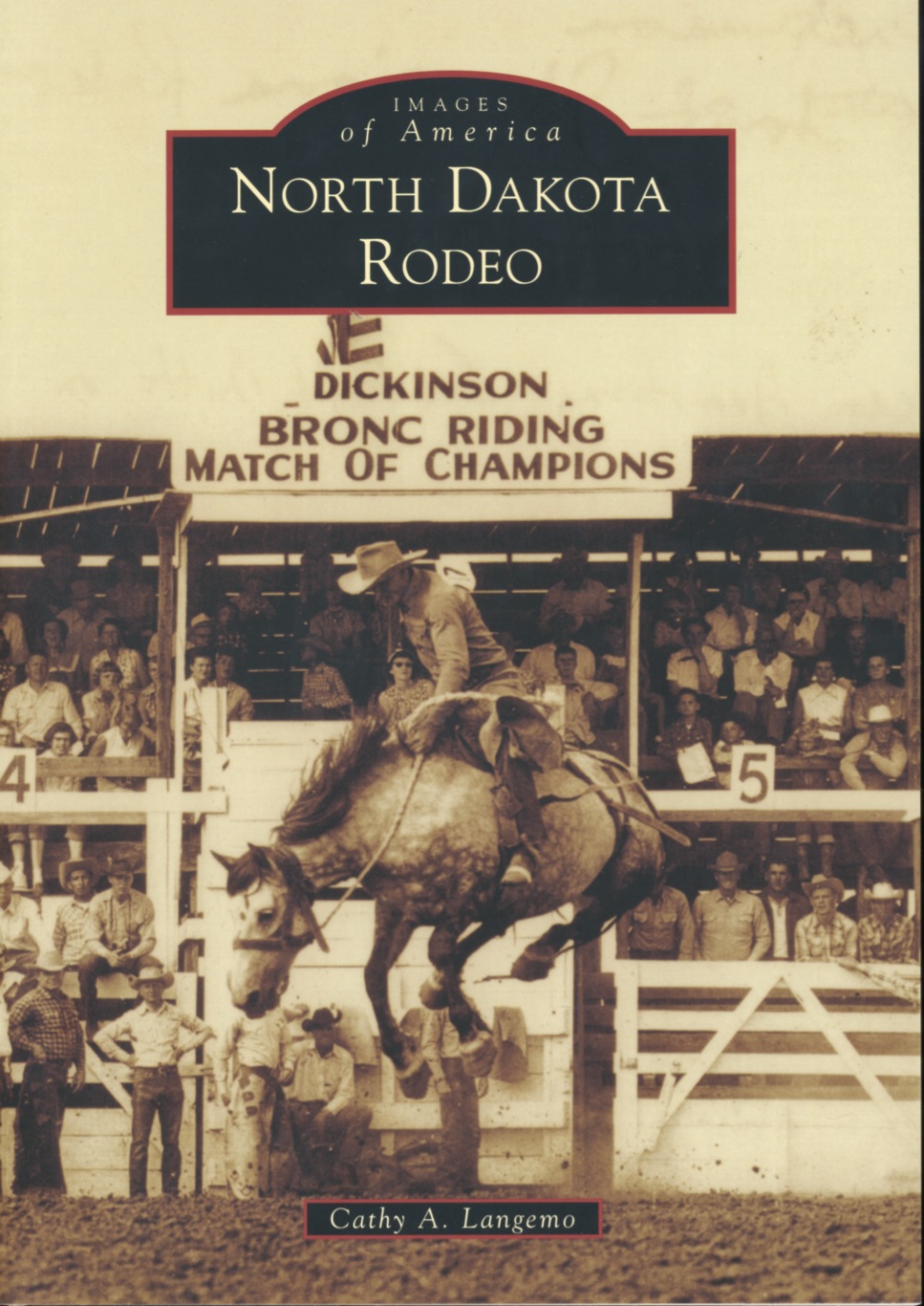 North Dakota Rodeo Image